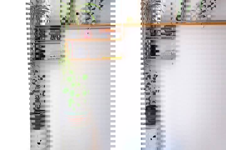 Typical parisian design apartment - 2