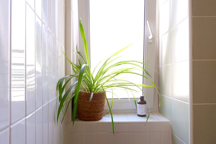 Typical parisian design apartment - 3