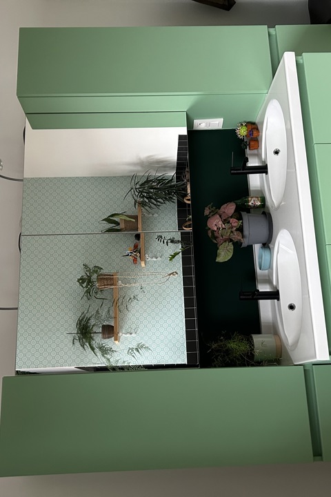 Indoor jungle - 12