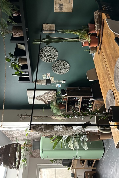 Indoor jungle - 3