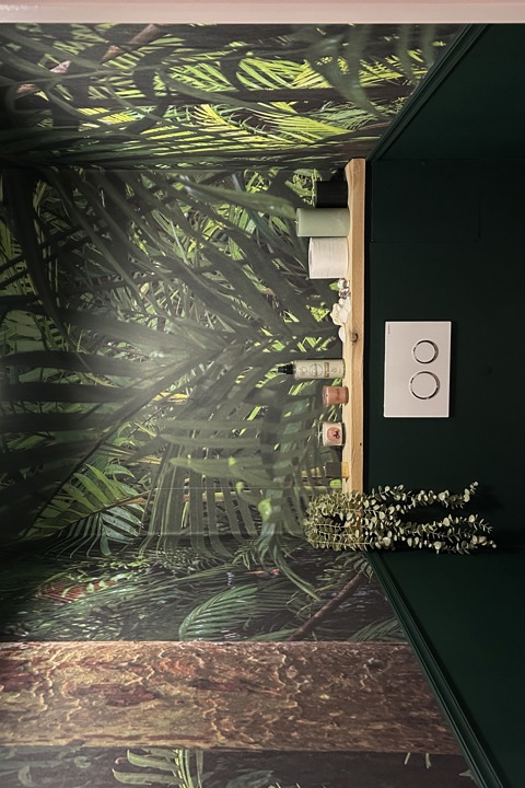Indoor jungle - 15