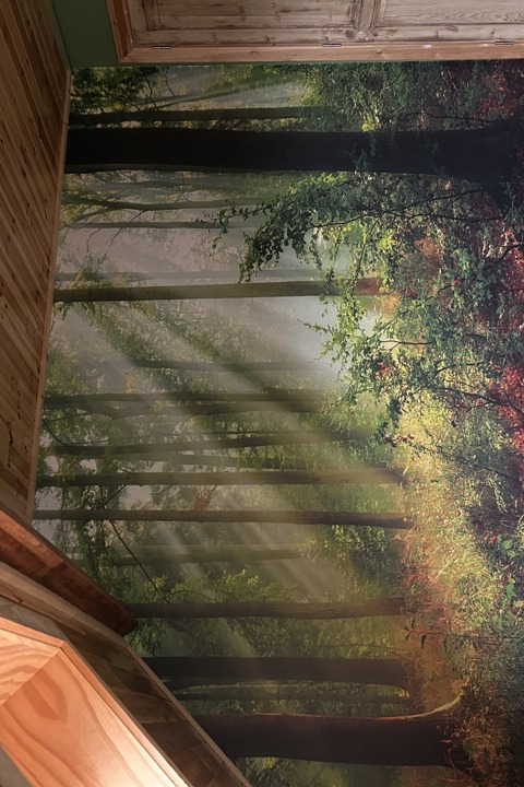 Indoor jungle - 18