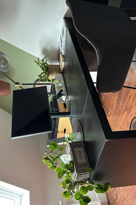 Indoor jungle - 19
