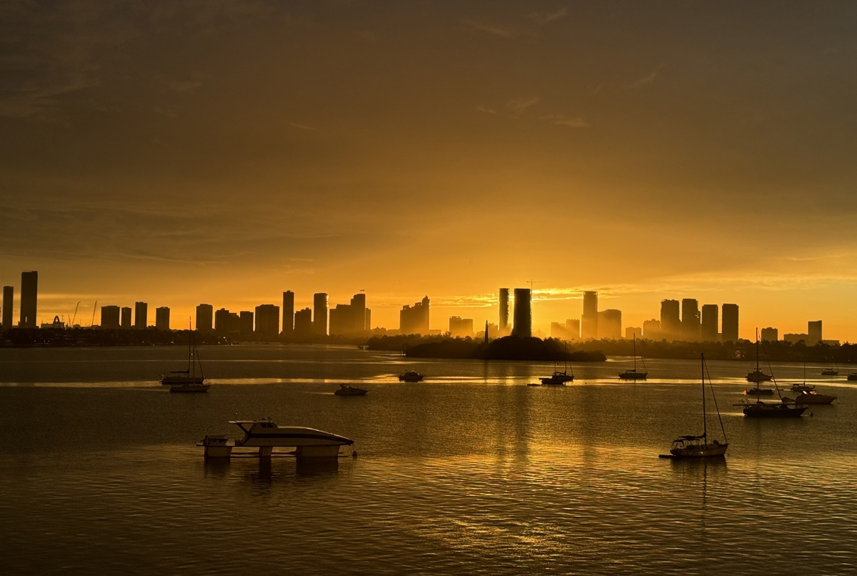 The Best of Miami