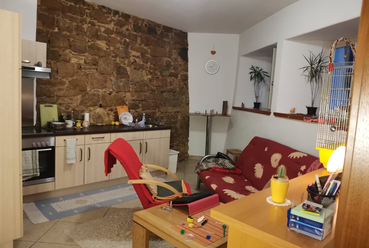 Cozy apartment near Lake Caldaro in South Tyrol 🏔