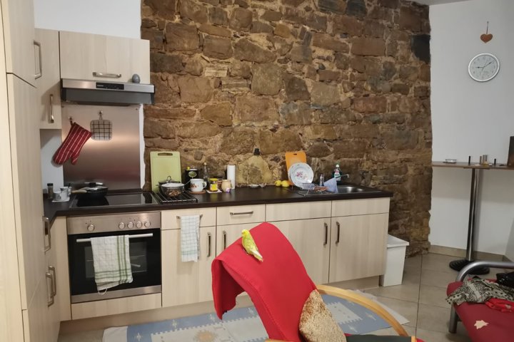 Cozy apartment near Lake Caldaro in South Tyrol 🏔 - 1