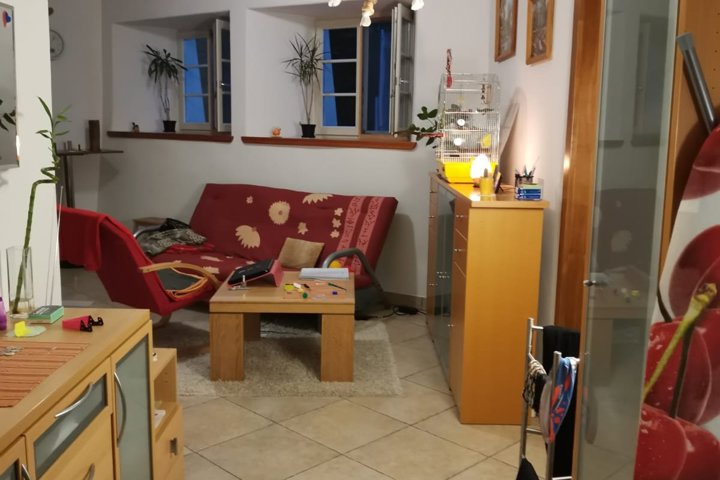 Cozy apartment near Lake Caldaro in South Tyrol 🏔 - 2
