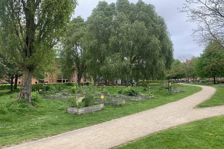 Yndig lejlighed i det grønne Århus - 9