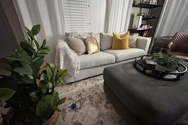 Little Oasis in The Bay - 3