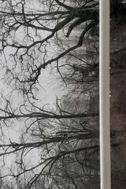 Skyline flat near Dudenpark - 5