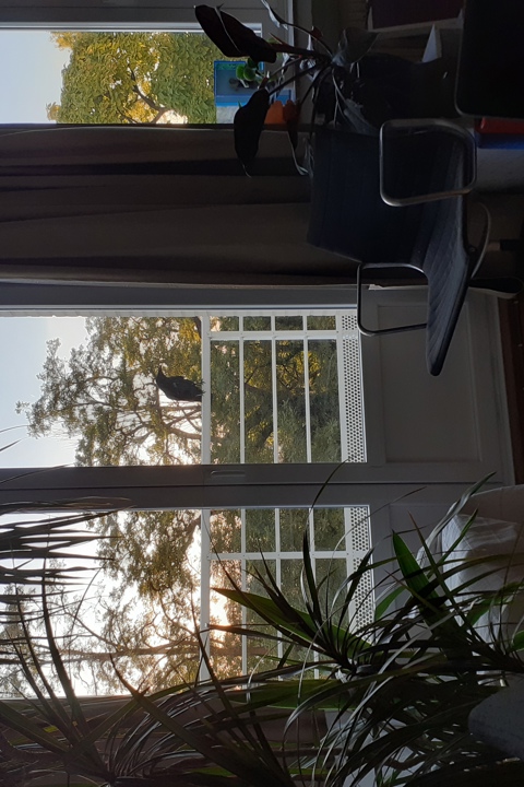 Skyline flat near Dudenpark - 3