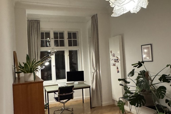 Beautiful flat with high ceilings & lots of light - 6
