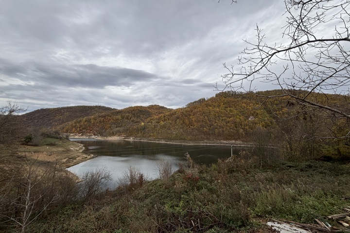 Blackberry cabin - 15