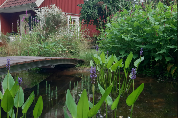 Swedish Hideway in Central Germany - 3