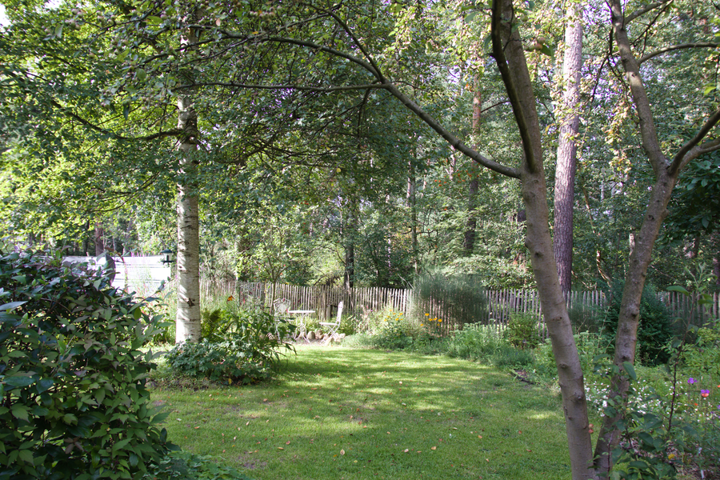 Swedish Hideway in Central Germany - 4