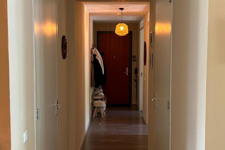 Sunny Amsterdam Apartment 120sqm(Balcony+Beach) - 3