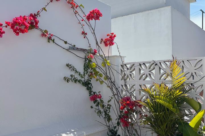 Sunny House in Spain - 300 meters from the beach - 13