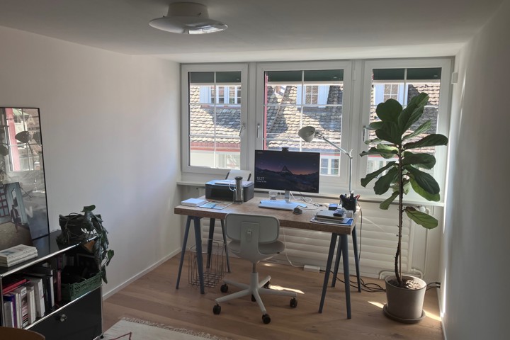 Cozy house with unique rooftop view over Zürich - 1