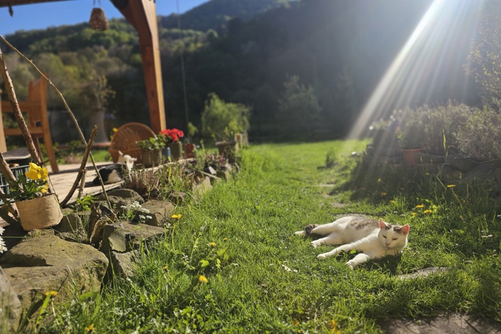 Ubytování rodinného typu s přírodou okolo. - 8