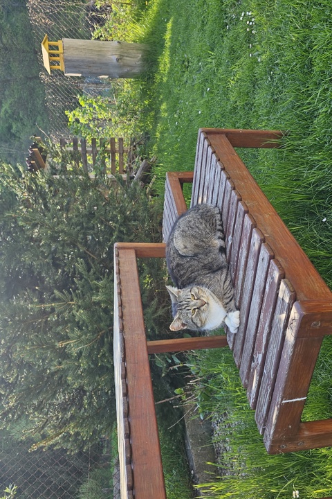 Ubytování rodinného typu s přírodou okolo. - 9