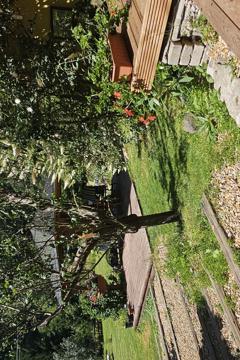 Ubytování rodinného typu s přírodou okolo. - 12