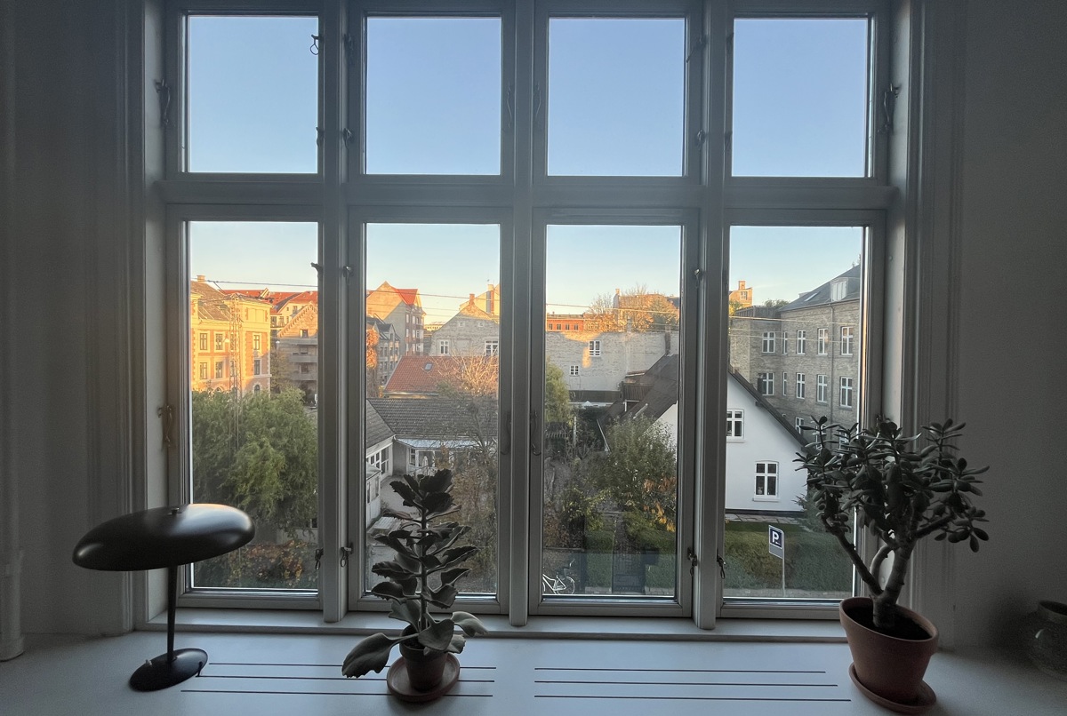 Large elegant in Copenhagen Center0