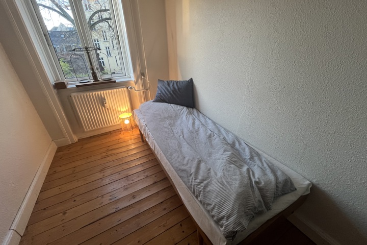 Large elegant in Copenhagen Center0 - 11