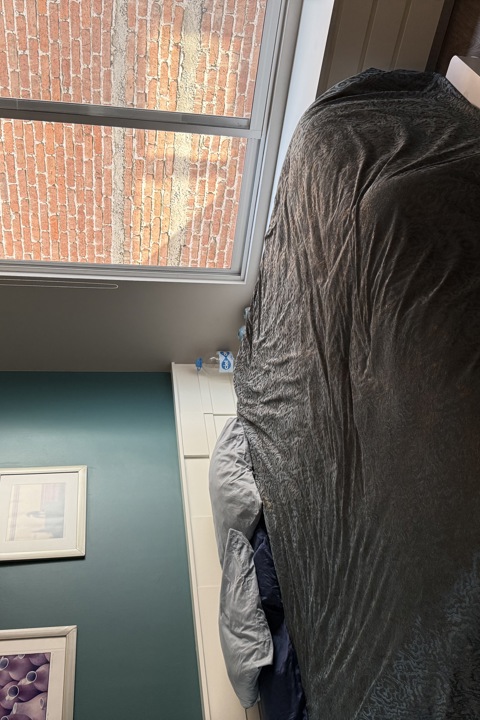 Sunlit CDMX 3BR w/ Private Rooftop - 3