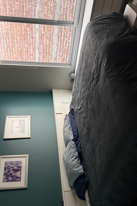 Sunlit CDMX 3BR w/ Private Rooftop - 3