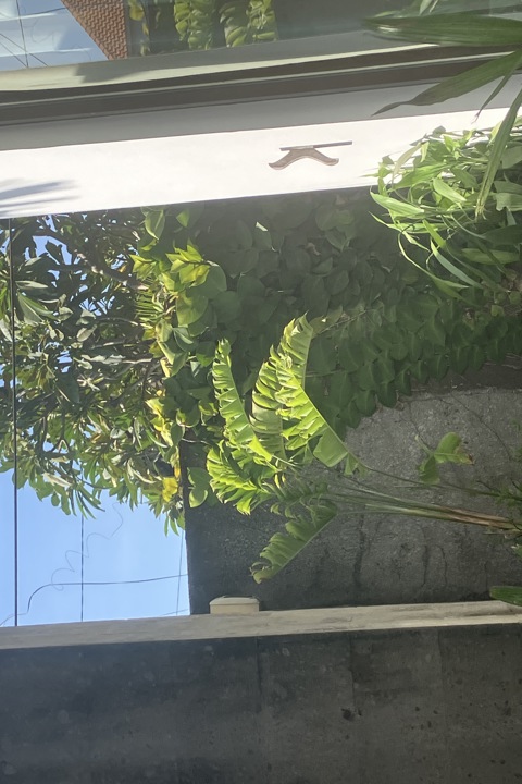 Zen Pool Villa Hideaway - Sanur Beach - BALI - 17