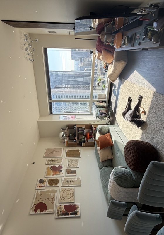 home swap in Chicago, Illinois