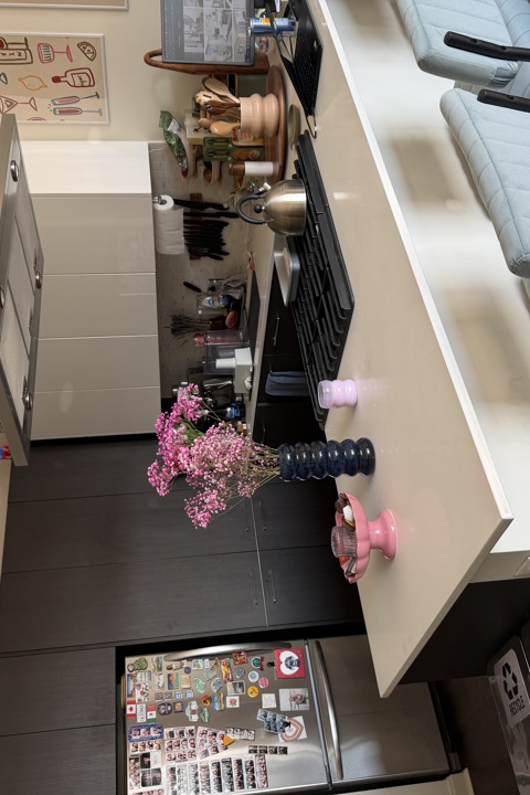 Cozy apt in luxury bldg, heart of downtown Chi - 1