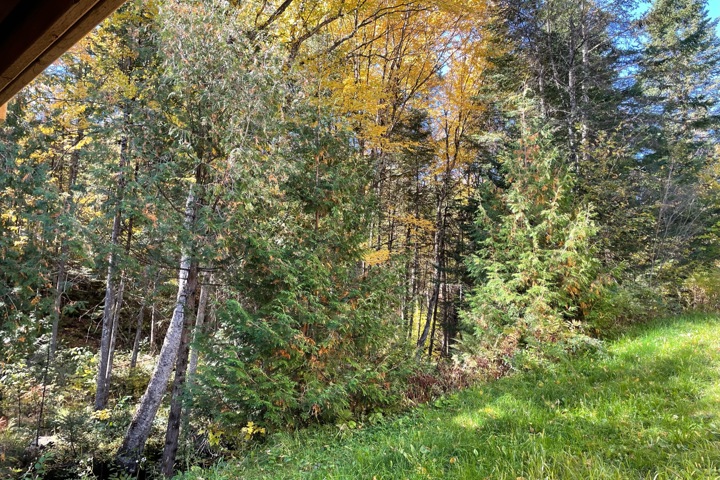 Beautiful family cottage - 4