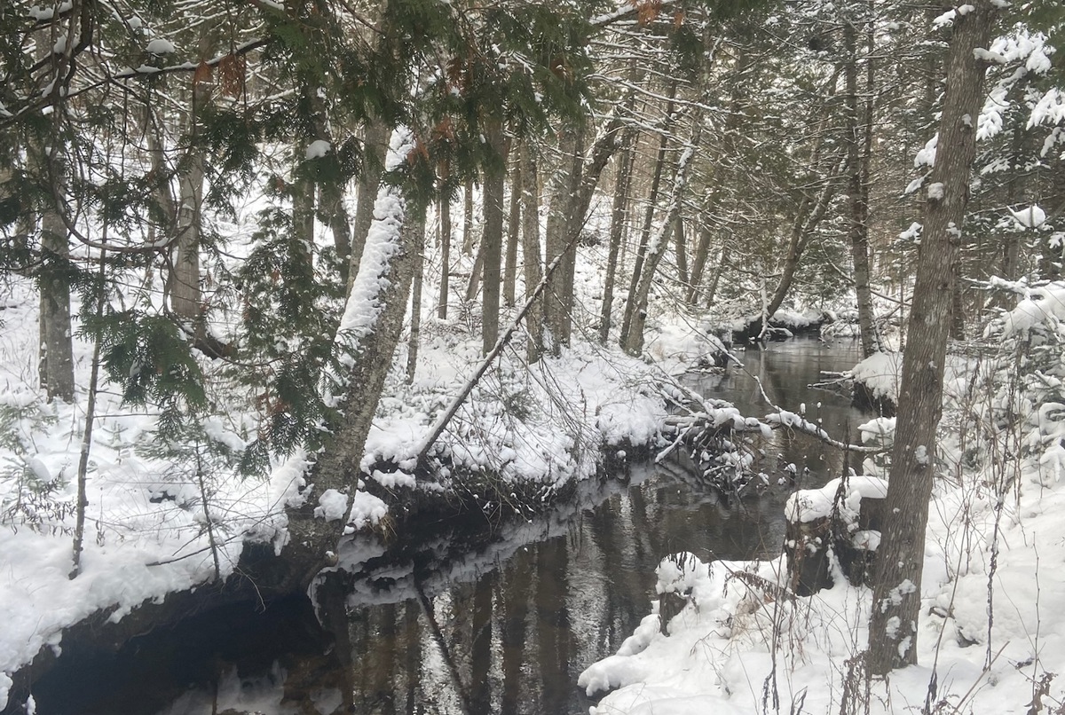 Beautiful family cottage