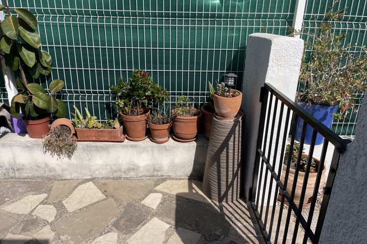 Beauty near the Beach - 4