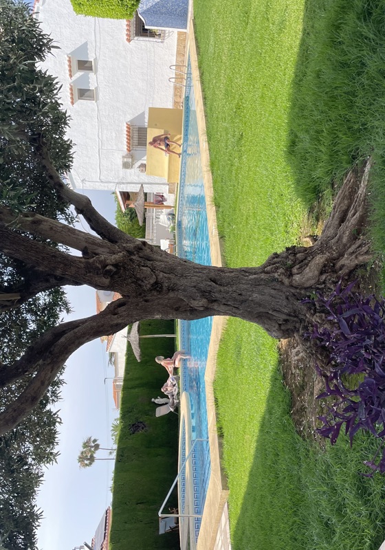 home swap in Setla, Spain