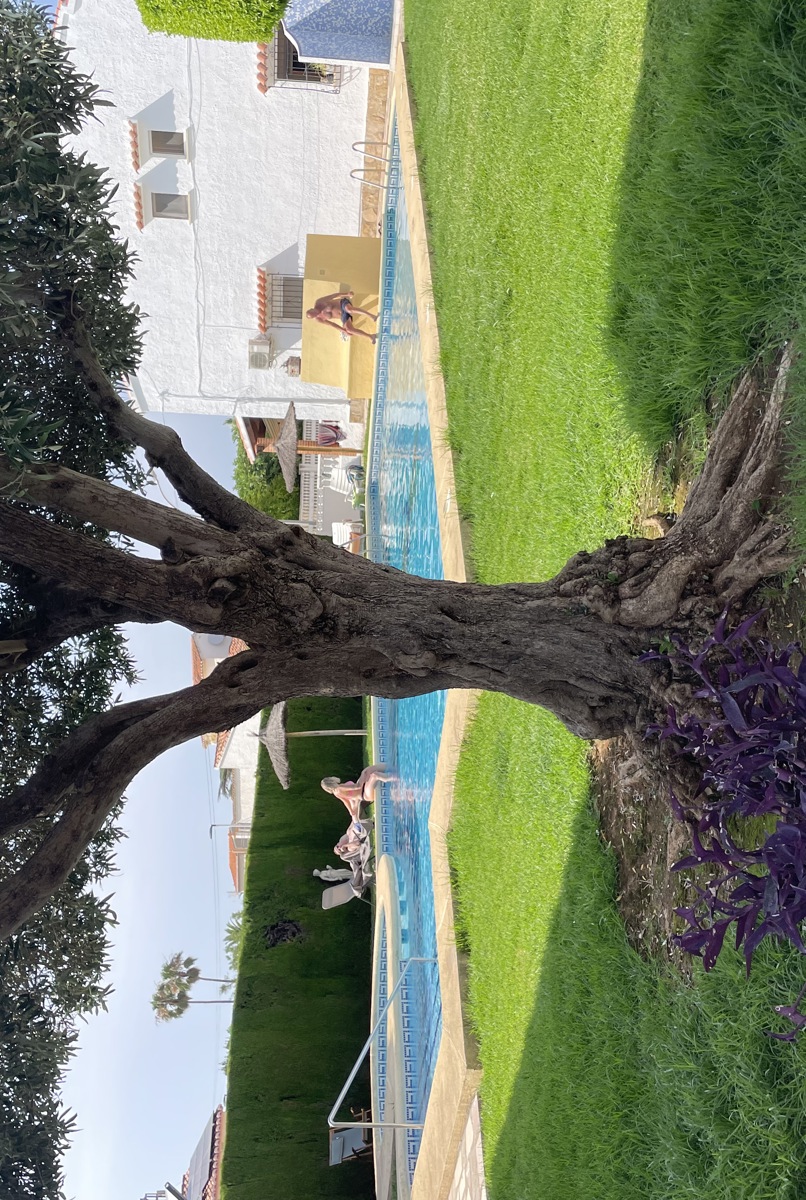 Beauty near the Beach