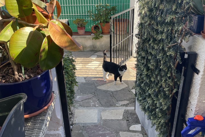 Beauty near the Beach - 15