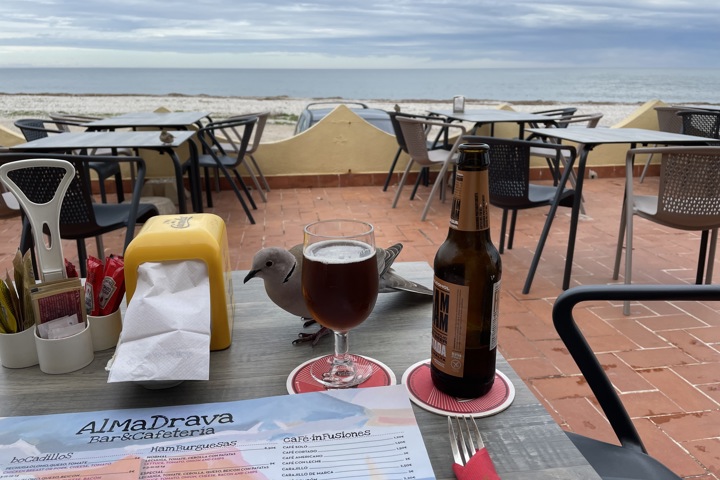 Beauty near the Beach - 19