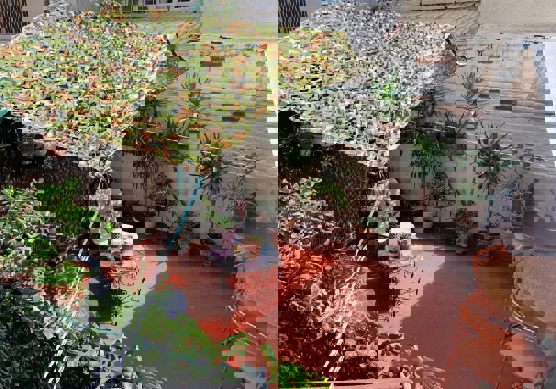 home swap in Barcelona, Spain