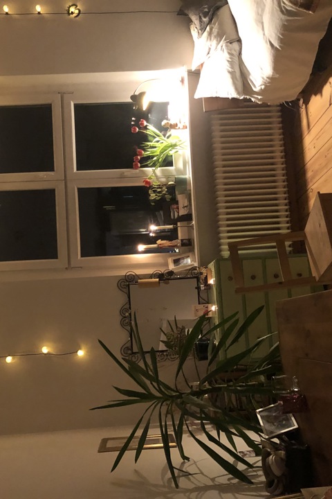 Room in beautiful flat in very popular area - 4