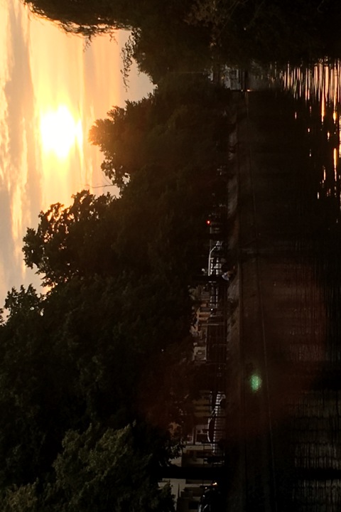 Room in beautiful flat in very popular area - 10