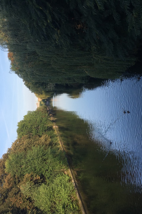 Room in beautiful flat in very popular area - 9