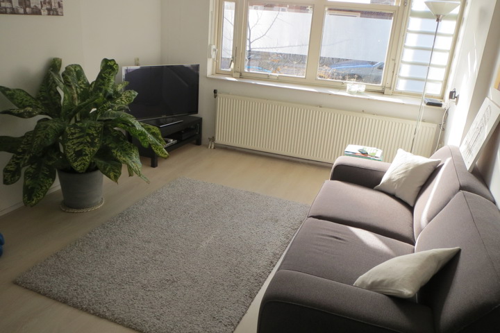 Spacious and bright apartment with garden. - 2