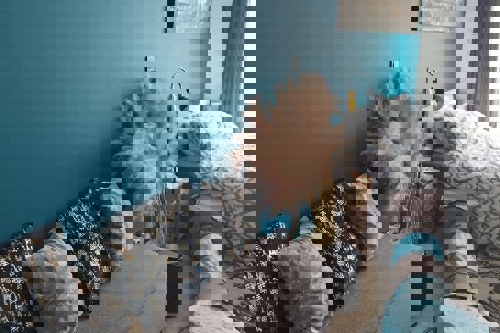 Ostend 2 bdrm app 15' from the beach & city - 12