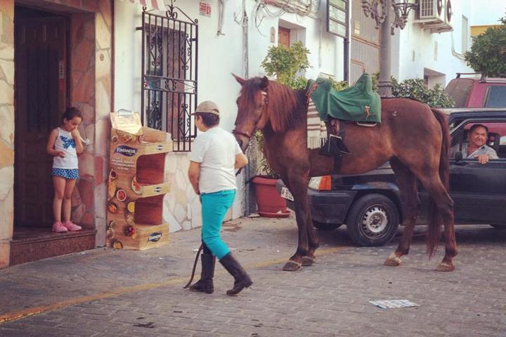 Large, centrally located flat in Spanish village - 34