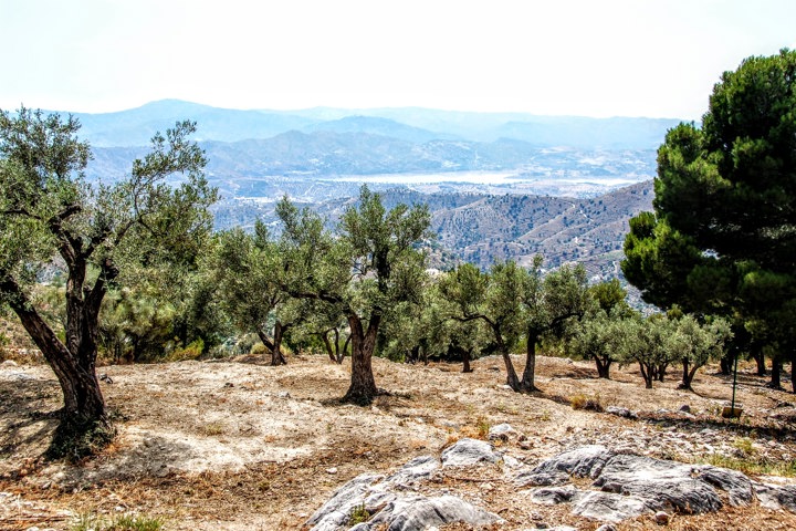 Large, centrally located flat in Spanish village - 39