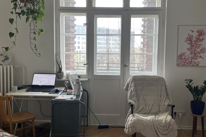 A sunny 1 room flat with balcony, by the water - 1