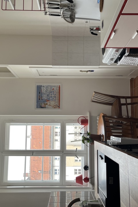 A sunny 1 room flat with balcony, by the water - 7