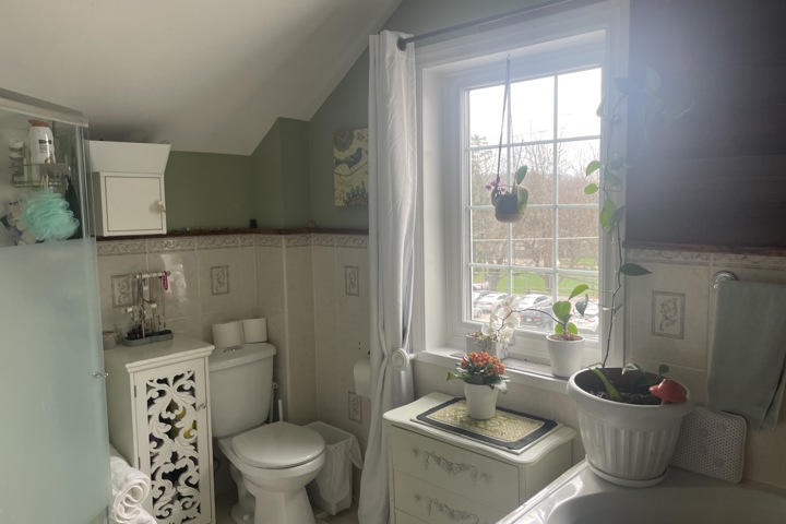 Century home on the hill - 4